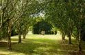 Les Jardins de La Beuverie à Agon Coutainville