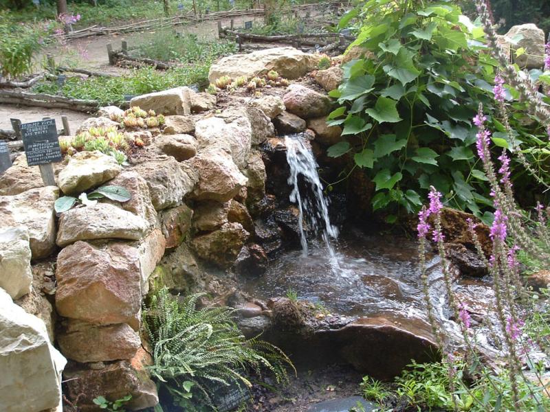 Jardin botanique médiéval de la chevalerie de Sacé