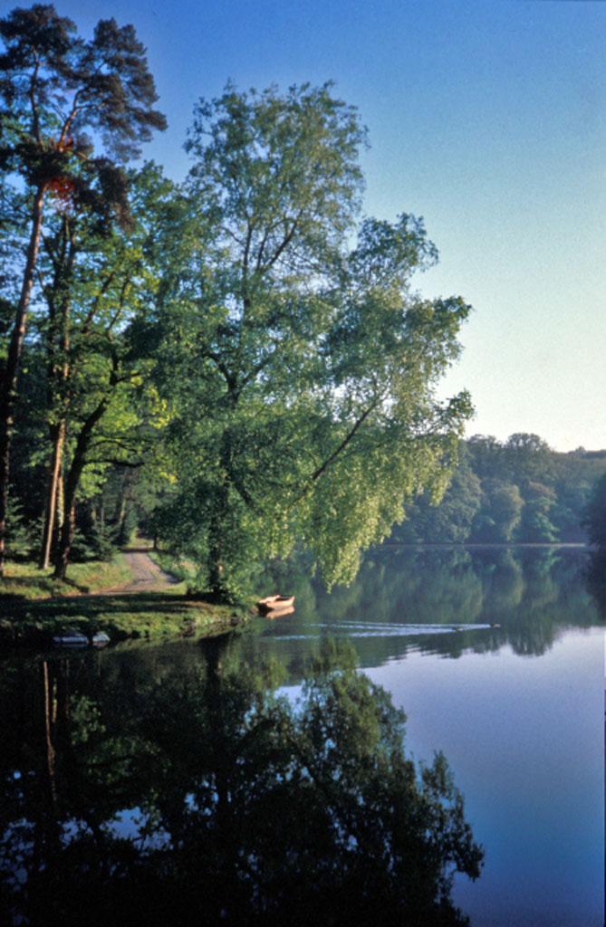 Parc de Bodélio