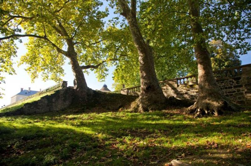 Parc du château de l'Hermenault