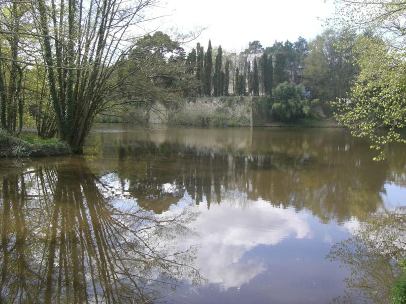 Château de Nesmy                                                                       