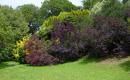 Jardins de Kerdalo