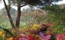 Parc de Boutiguéry