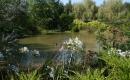 Jardin d'Elle