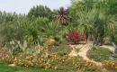 Le jardin secret du Grand Boulay  
