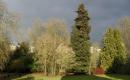 Parc de la Guinefolle