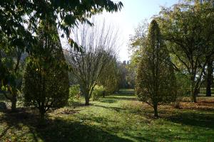 Jardins du Donjon de Ballon