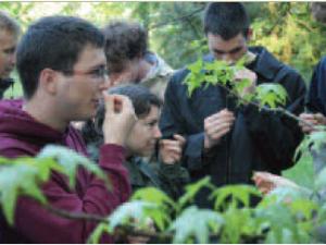  alt="Arbofolia a ouvert ses portes pour la saison 2010 le 5 Avril 2010"