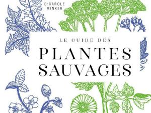  alt="" Le Guide des plantes sauvages", Carole Minker, Tana éditions."