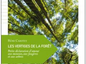  alt="Les Vertiges de la forêt"