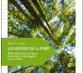 Les Vertiges de la forêt