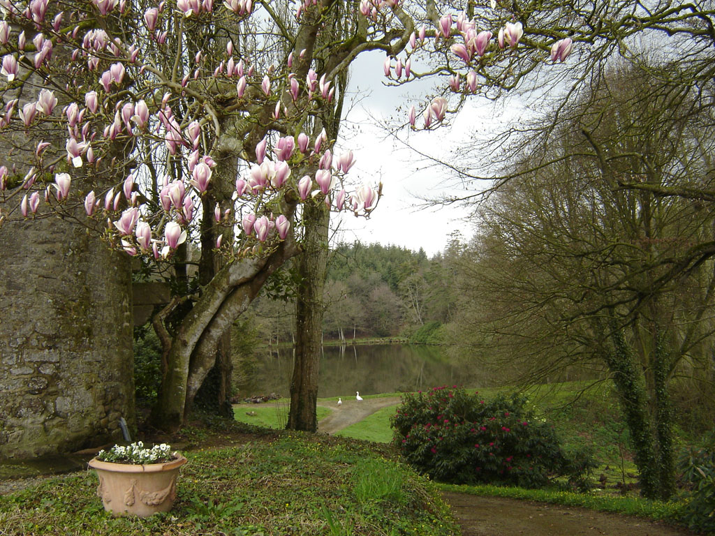 Château du Colombier