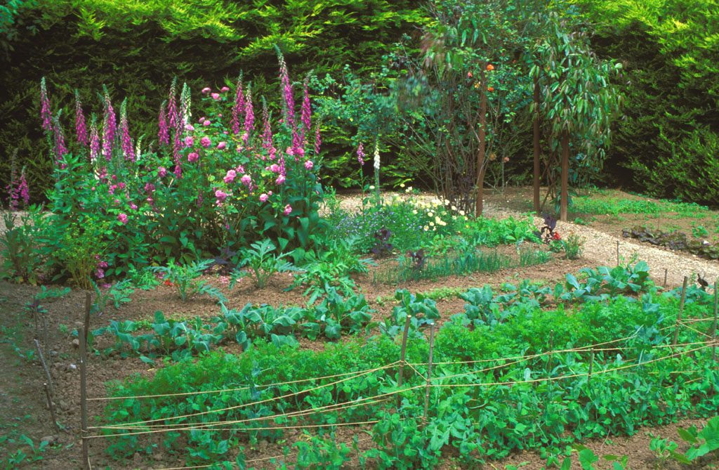 Jardin des Mélanges