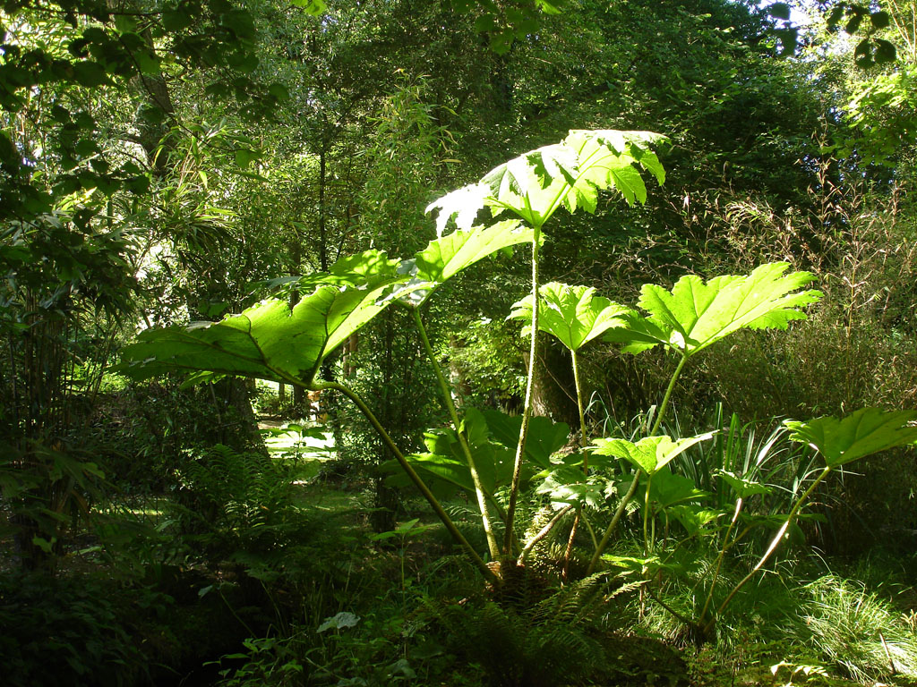 Jardin des Mélanges