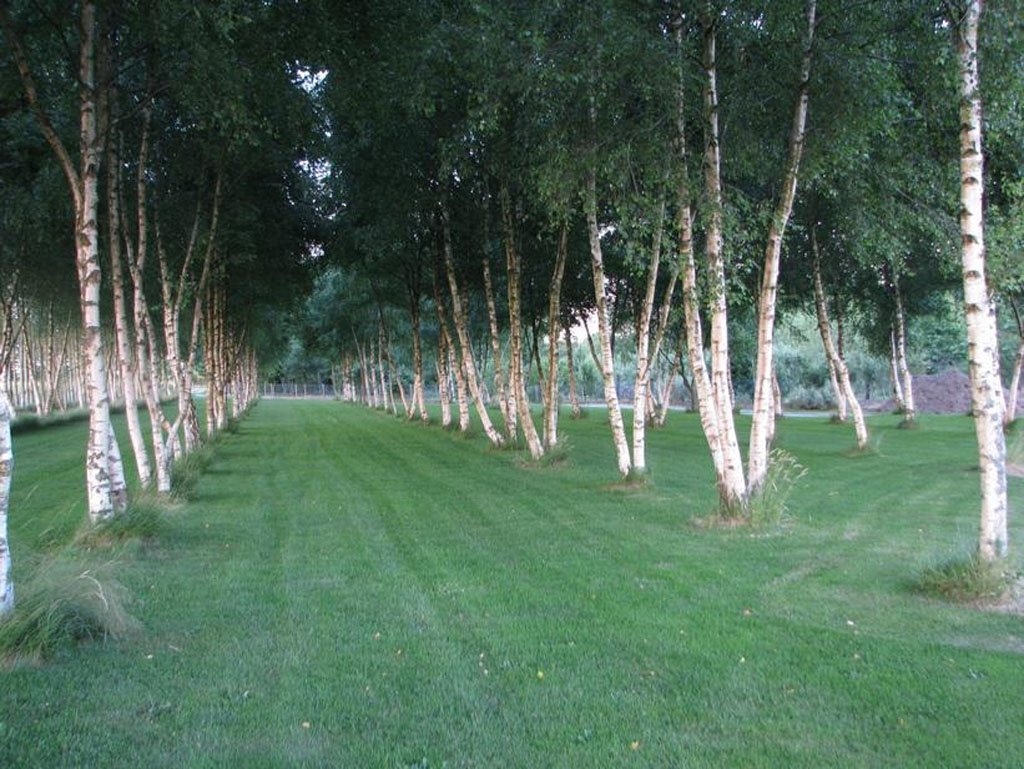 Jardin de St Durec