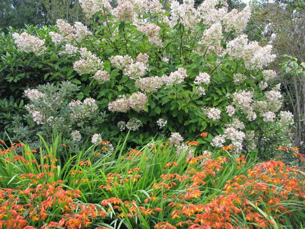 Jardin de St Durec