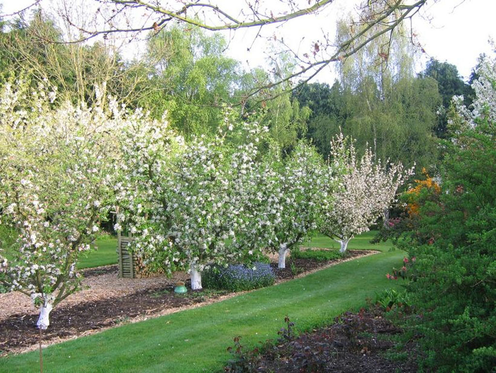 Jardin de St Durec