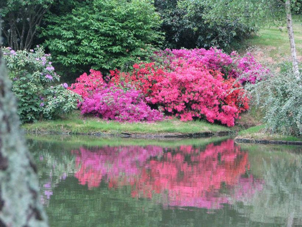 Jardin de St Durec