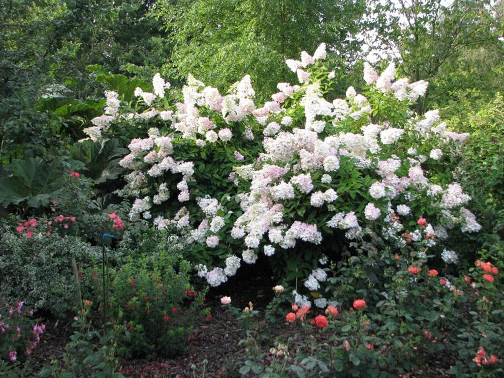 Jardin de St Durec