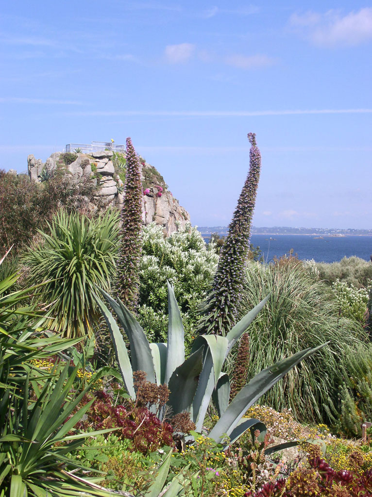 Jardin exotique de Roscoff