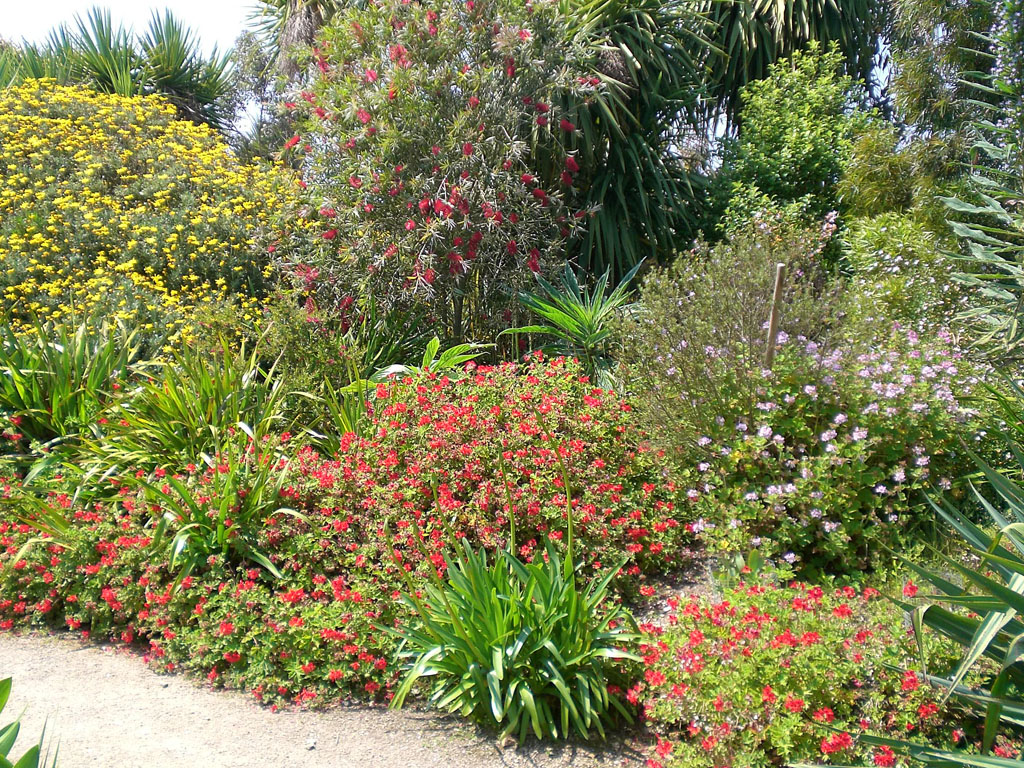 Jardin exotique de Roscoff