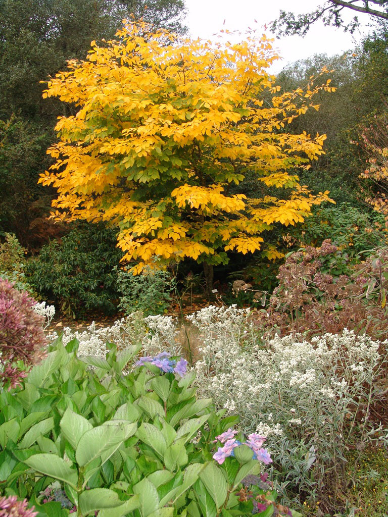 Parc Botanique de Cornouaille