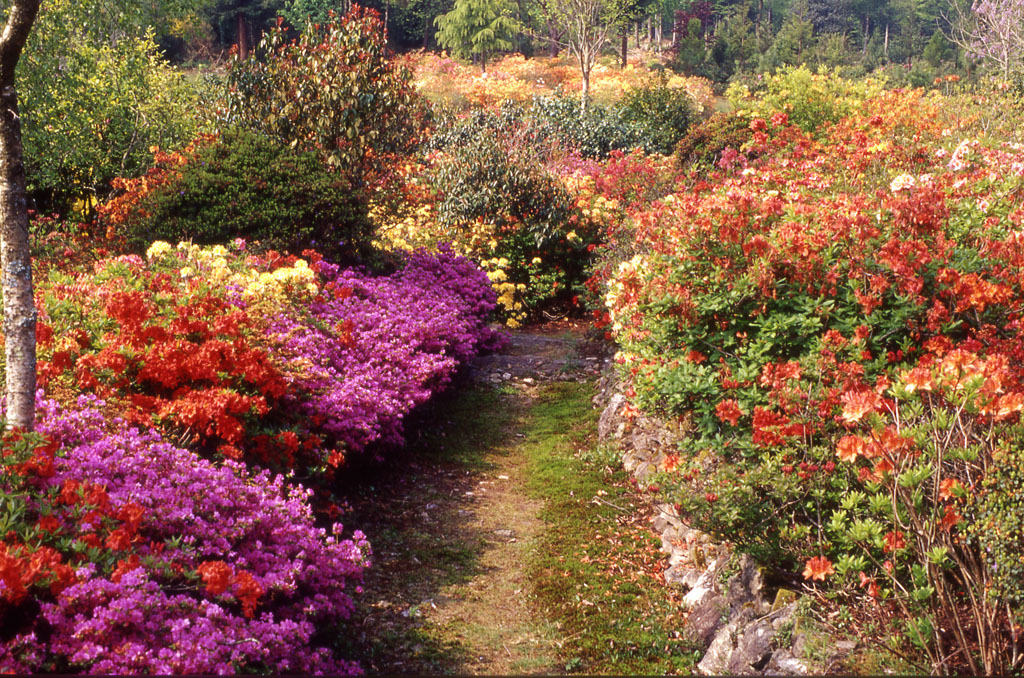 Parc de Boutiguéry