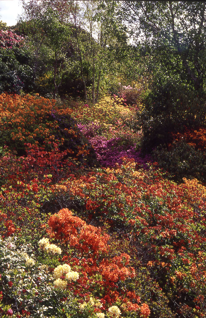 Parc de Boutiguéry