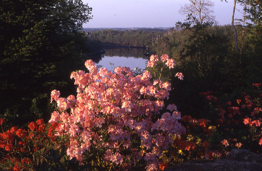 Parc de Boutiguéry