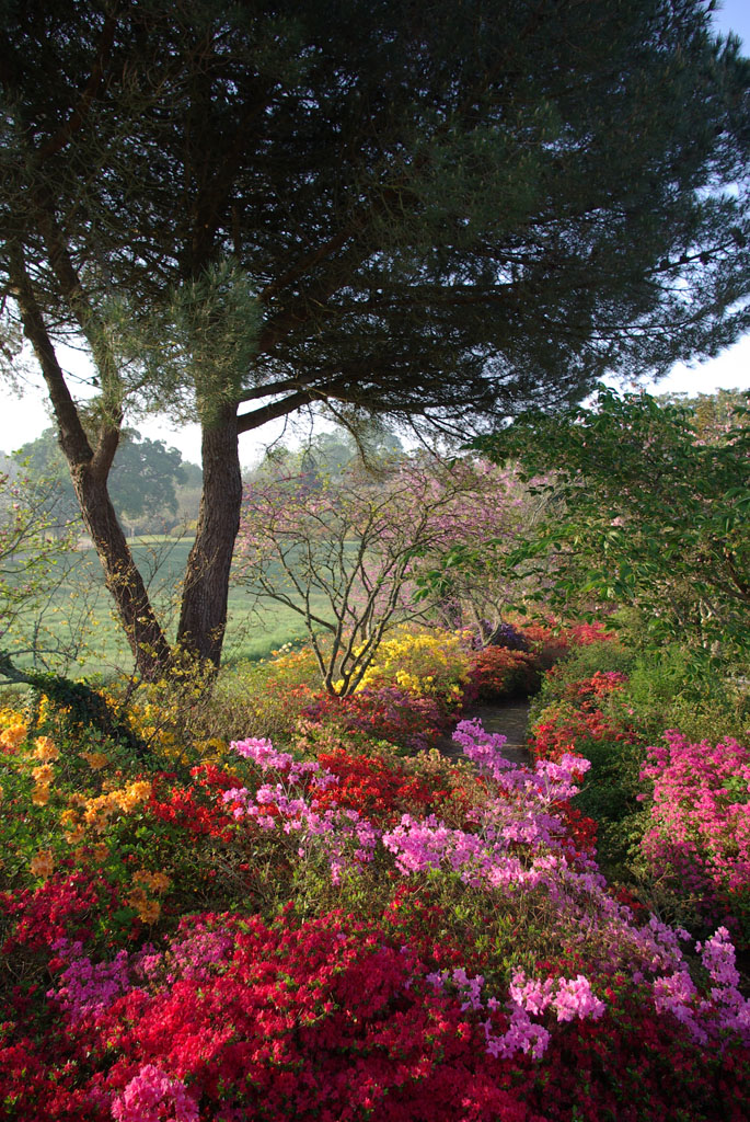 Parc de Boutiguéry