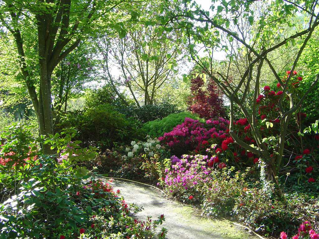 La Péfolière