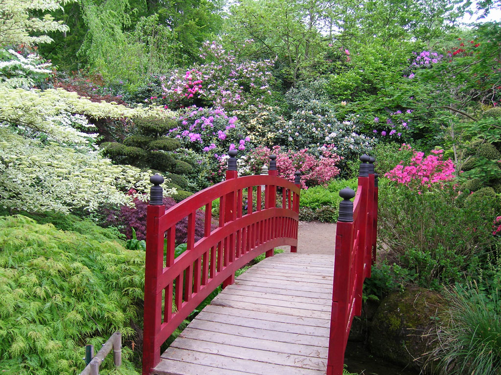 Parc Floral de Haute Bretagne 35133 Le Chatellier jardin Parc Floral de Haute Bretagne 35133 Le Chatellier jardin