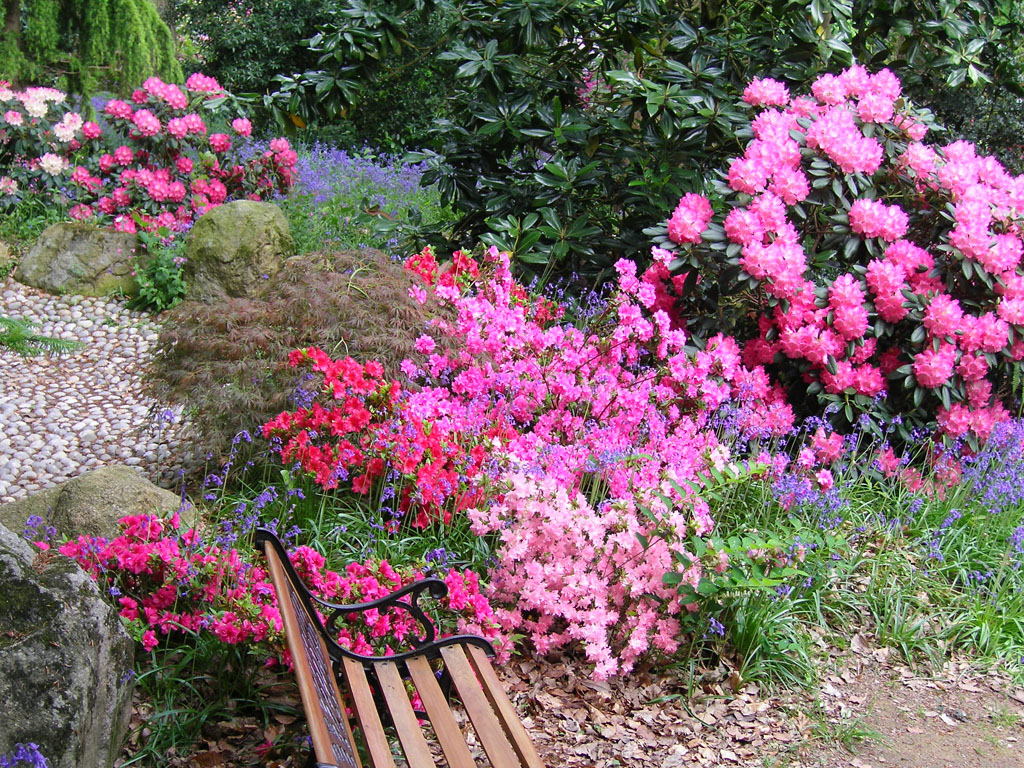 Parc Floral de Haute Bretagne 35133 Le Chatellier jardin Parc Floral de Haute Bretagne 35133 Le Chatellier jardin