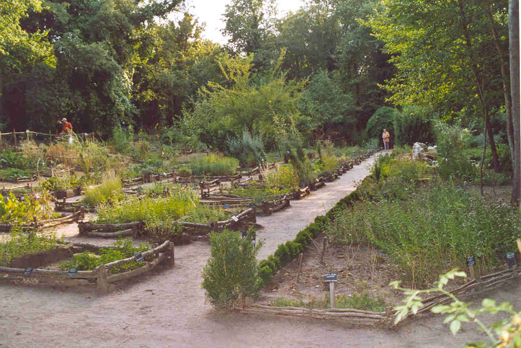 Jardin botanique médiéval de la chevalerie de Sacé