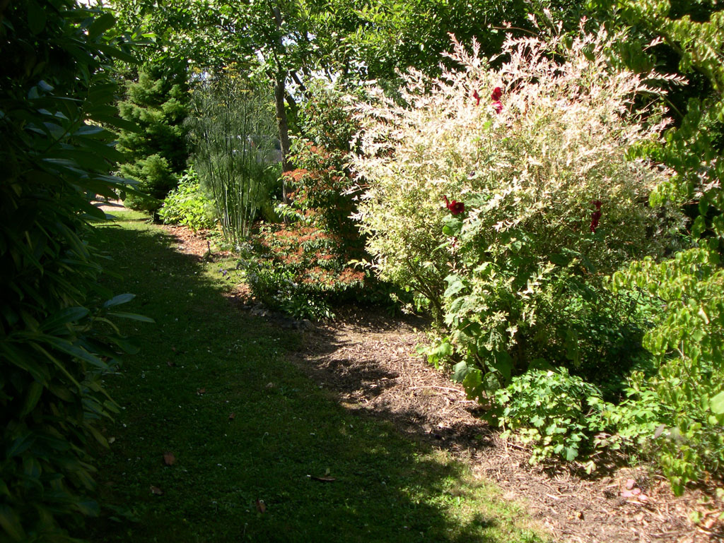 Le jardin de la Malmare