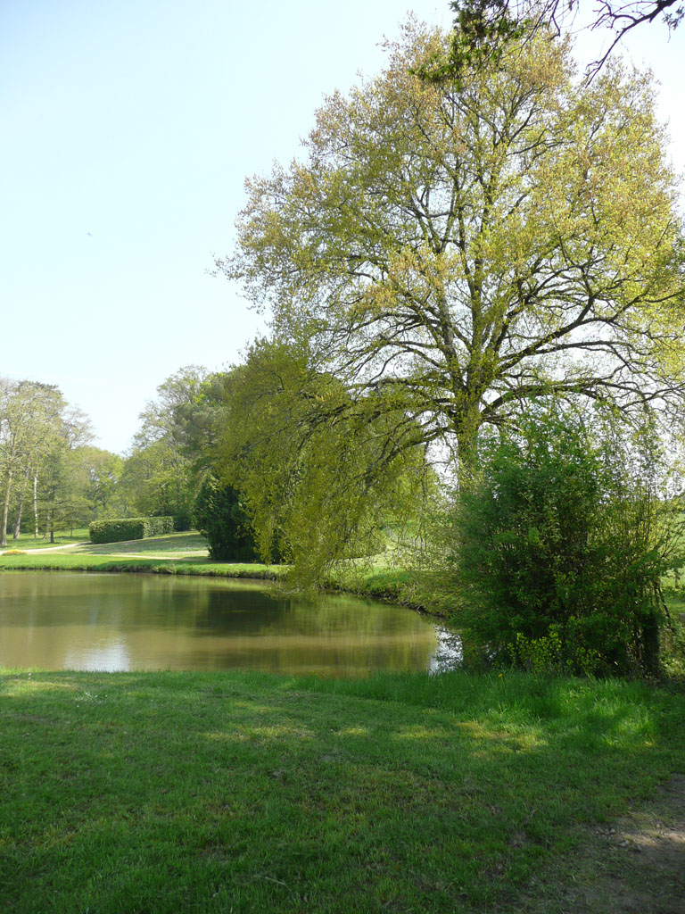 Parc et Jardins du Château de Montriou