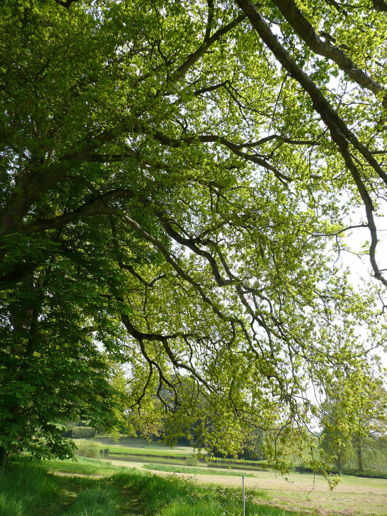 Parc et Jardins du Château de Montriou