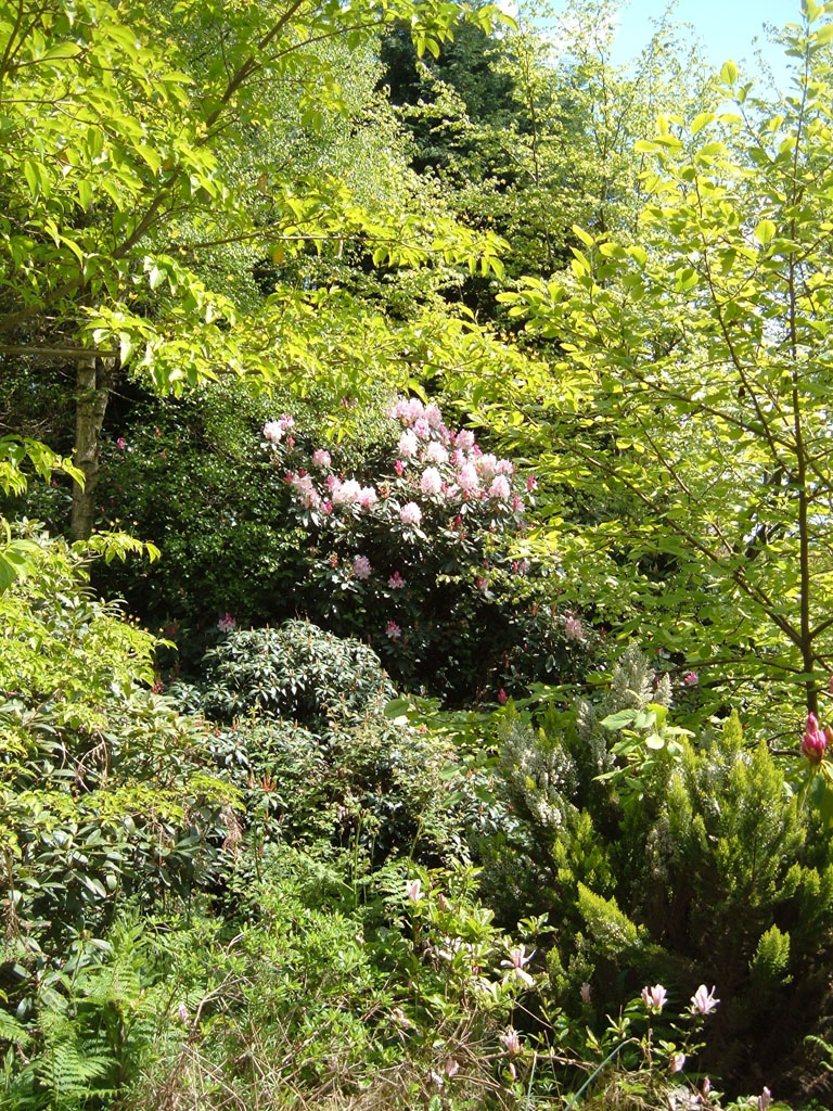 Jardin de Clairbois