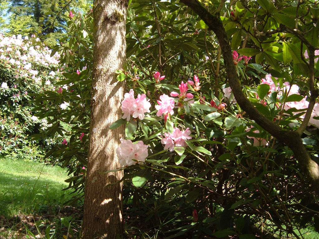 Jardin de Clairbois