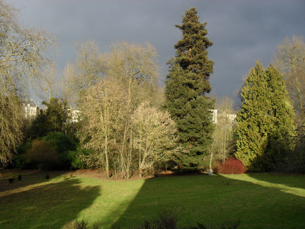 Parc de la Guinefolle