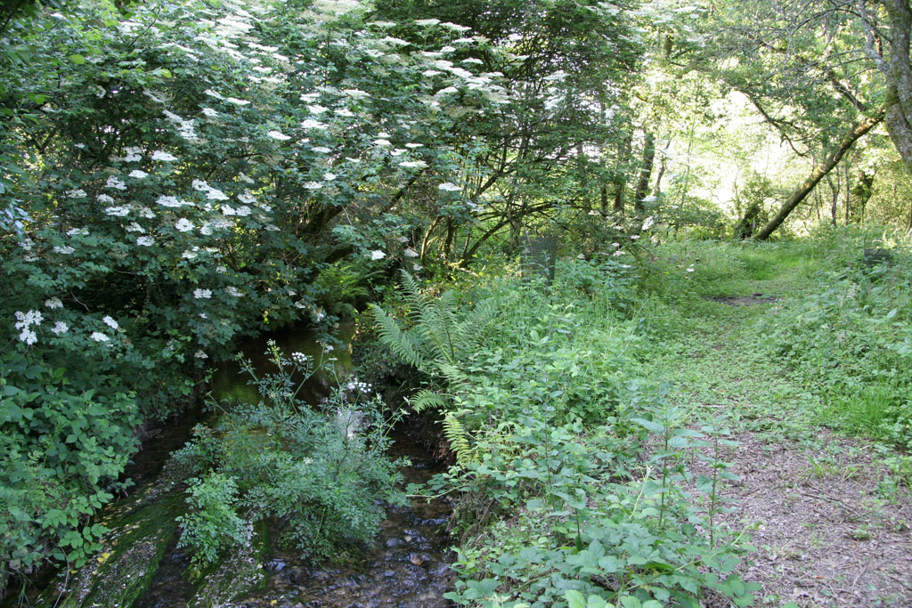 Kerusten