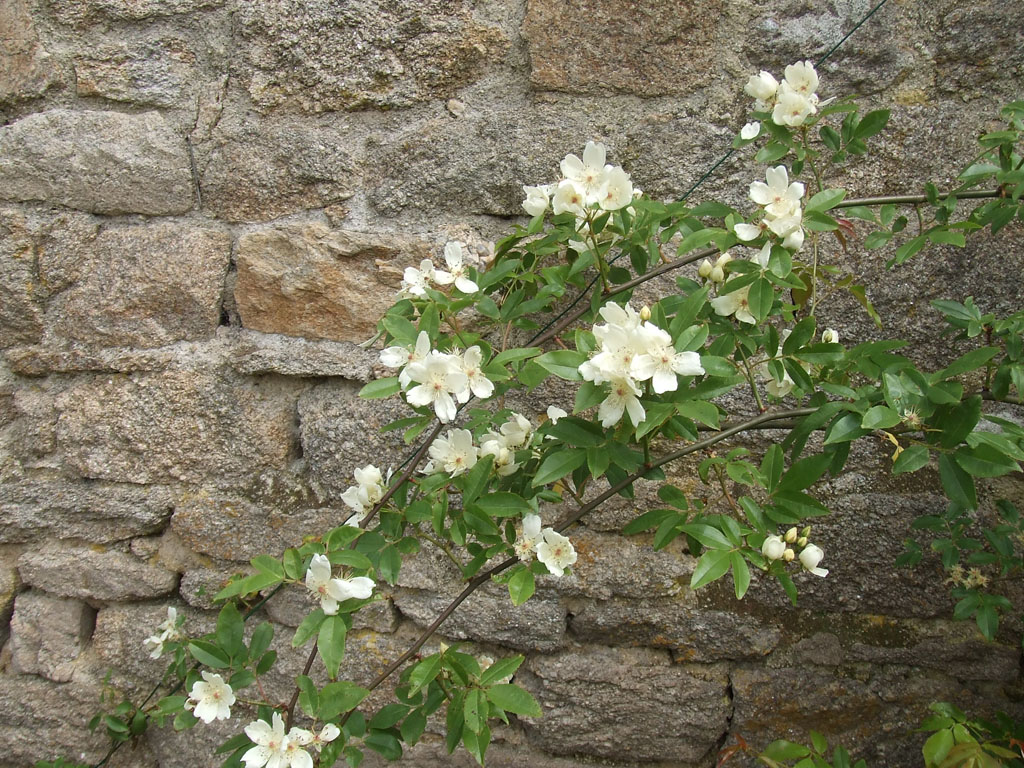Kerusten