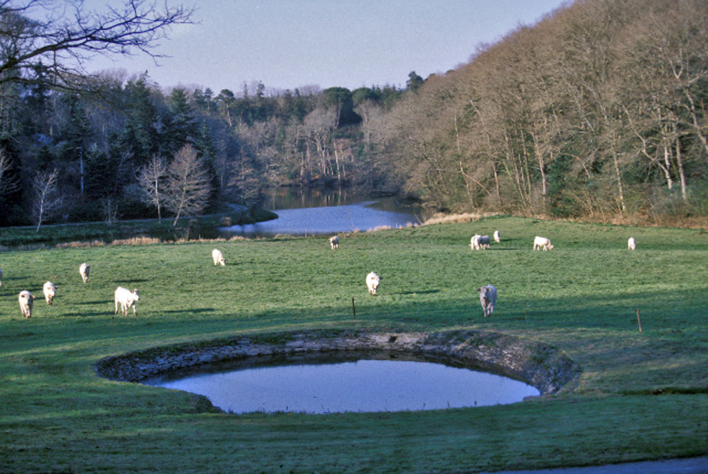 Parc de Bodélio