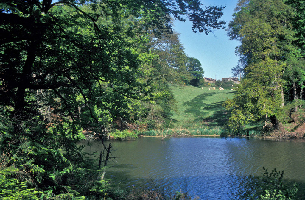 Parc de Bodélio