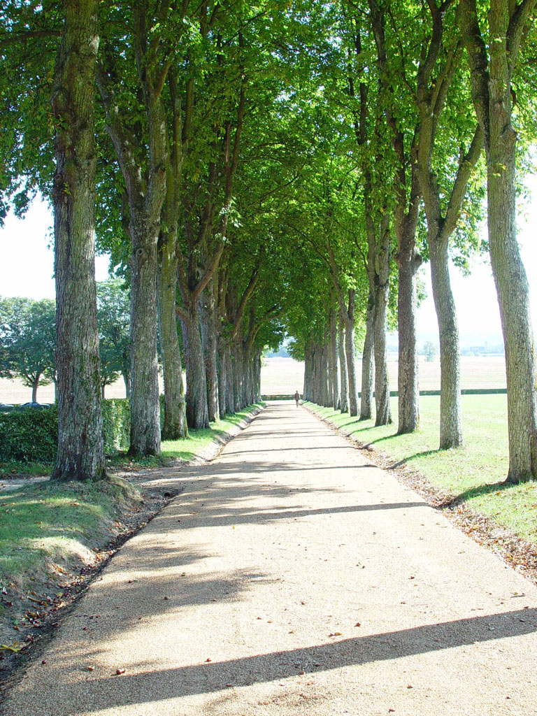 Parc du Château de « Lorière » La Rouge