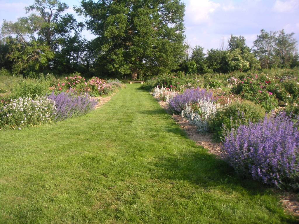 Jardin Mosaïque