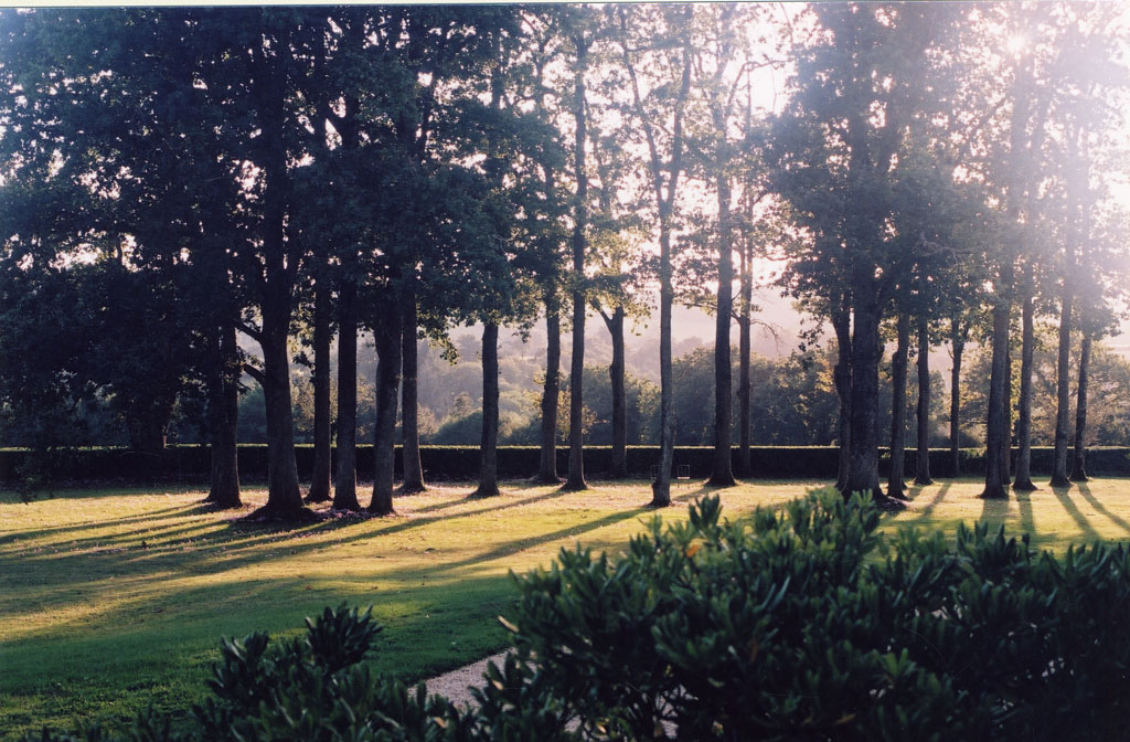 Domaine de l'Auneau