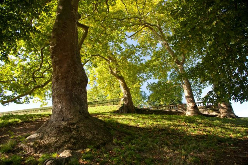 Parc du château de l'Hermenault